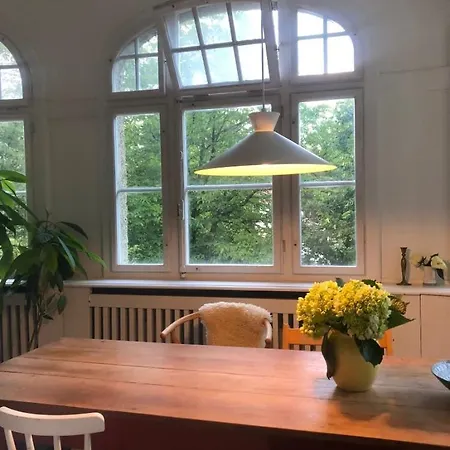 4 Story, 12 Beds, Near Eurovision Contest Basel