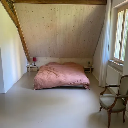 4 Story, 12 Beds, Near Eurovision Contest Villa Basel
