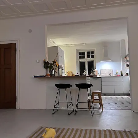 4 Story, 12 Beds, Near Eurovision Contest