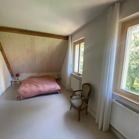 4 Story, 12 Beds, Near Eurovision Contest Villa Basel