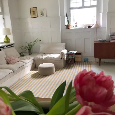 4 Story, 12 Beds, Near Eurovision Contest